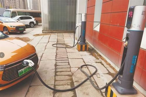 哈爾濱城市公共交通全面邁入電動時代，推動道路旅客運輸經營綠色轉型